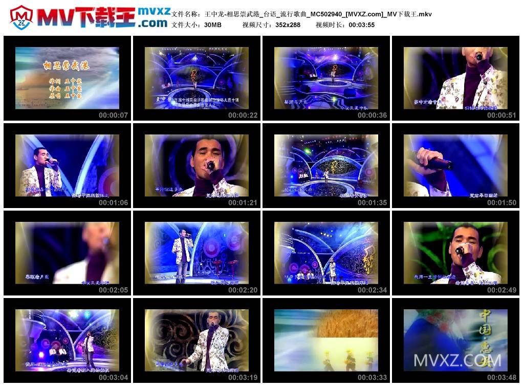 王中龙-相思崇武港_台语_流行歌曲_MC502940